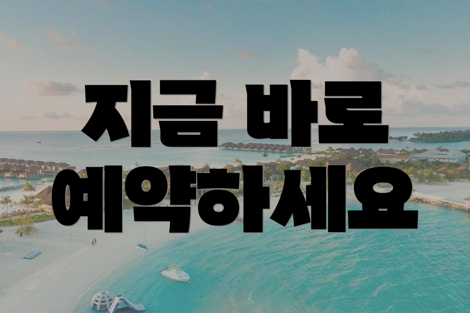 지금 바로 예약하세요