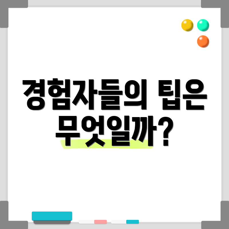 경험자들의 팁은 무엇일까?