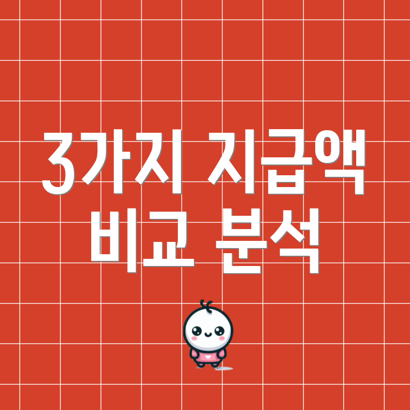 3가지 지급액 비교 분석