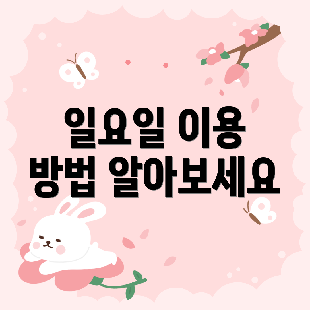 일요일 이용 방법 알아보세요