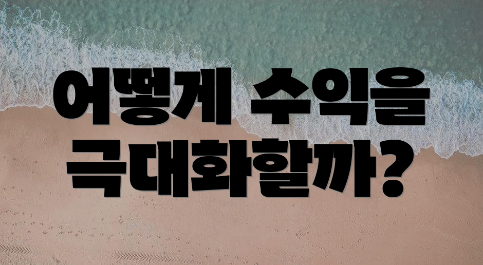 어떻게 수익을 극대화할까?