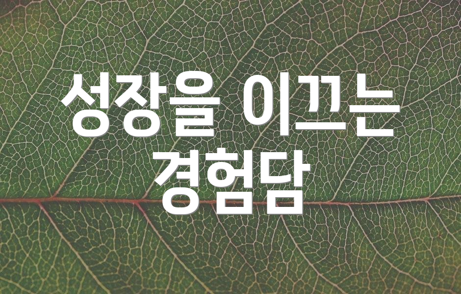 성장을 이끄는 경험담
