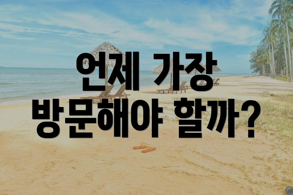 언제 가장 방문해야 할까?