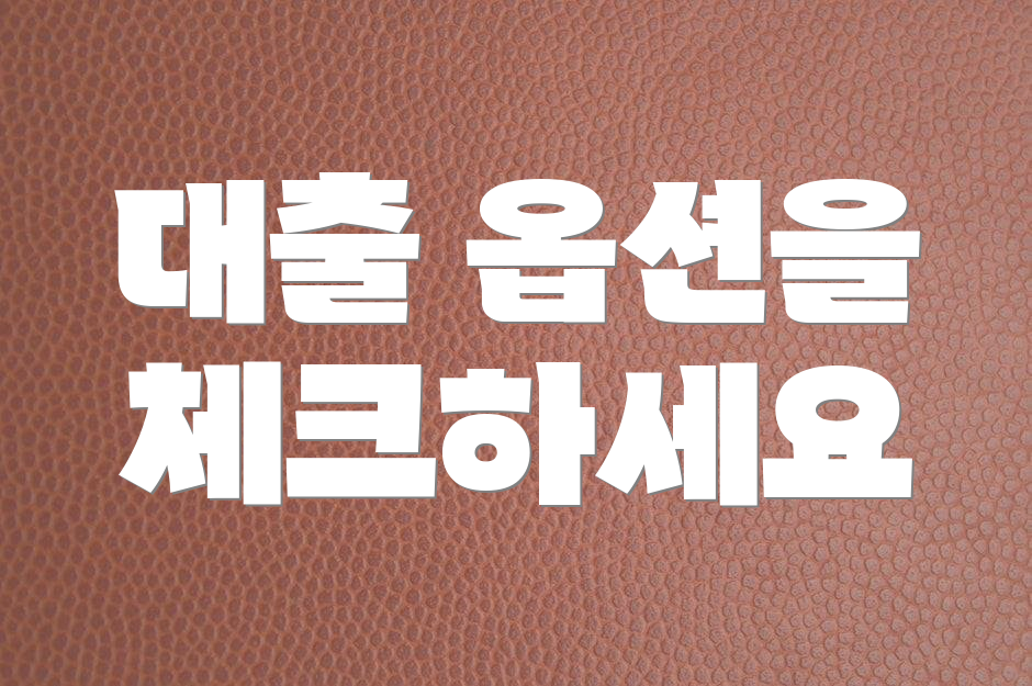 대출 옵션을 체크하세요