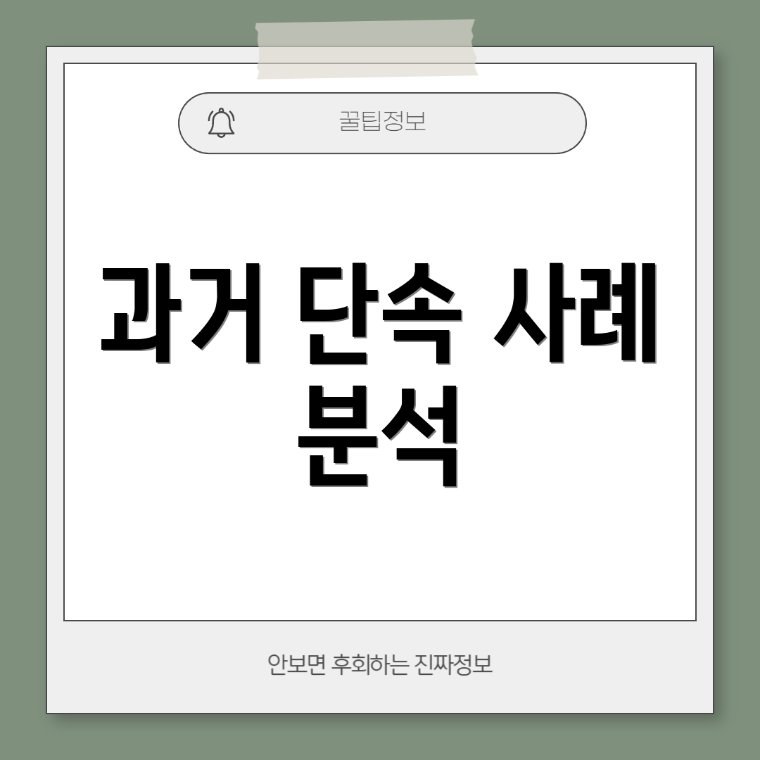 과거 단속 사례 분석