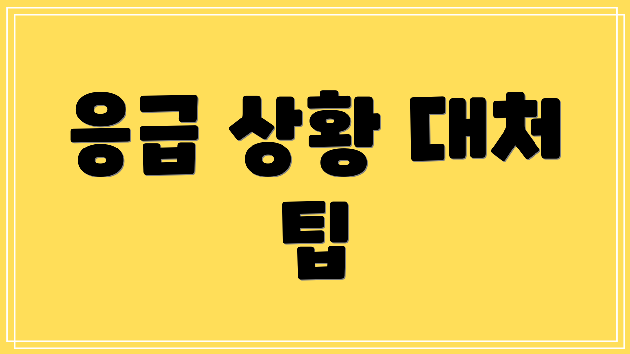 응급 상황 대처 팁