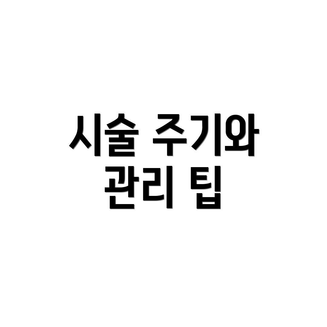 시술 주기와 관리 팁
