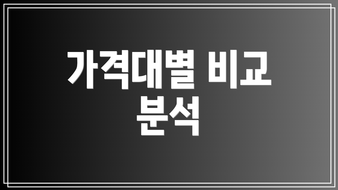 가격대별 비교 분석