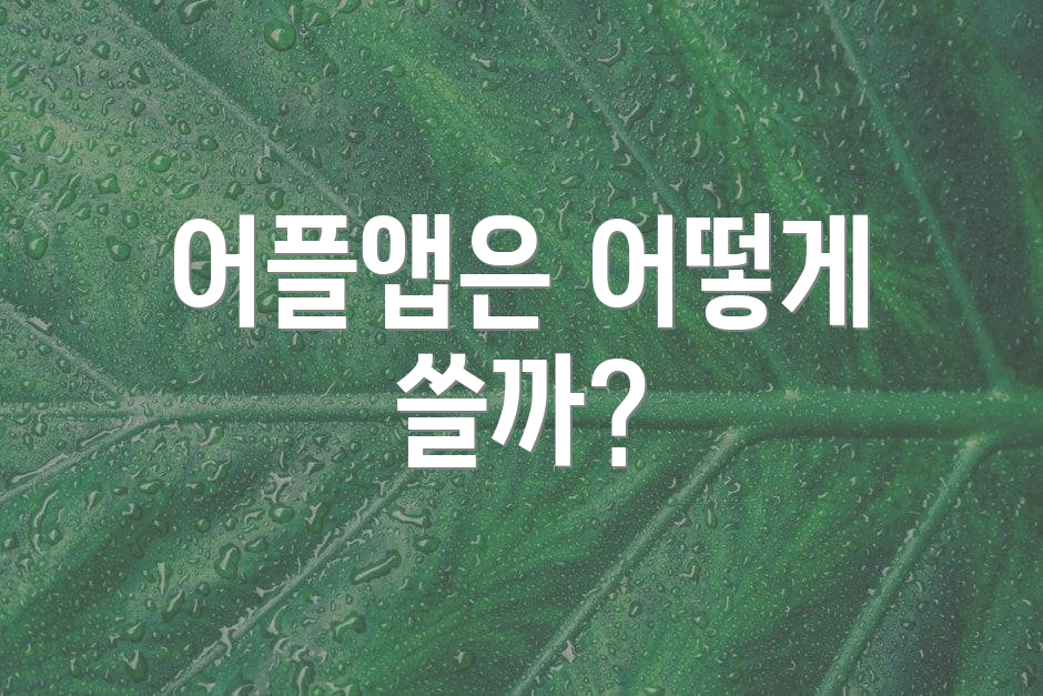 어플앱은 어떻게 쓸까?