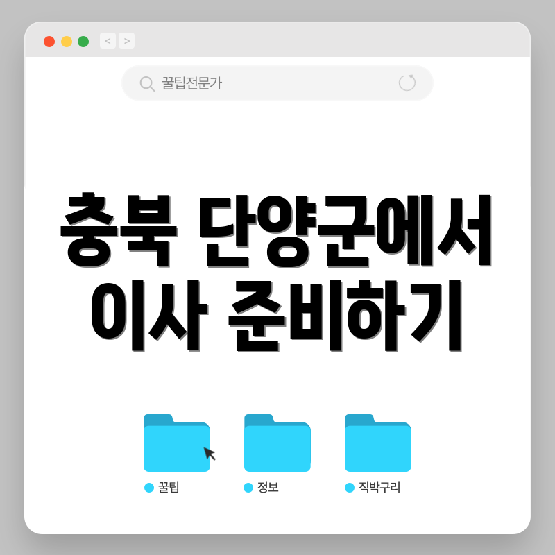 충북 단양군에서 이사 준비하기