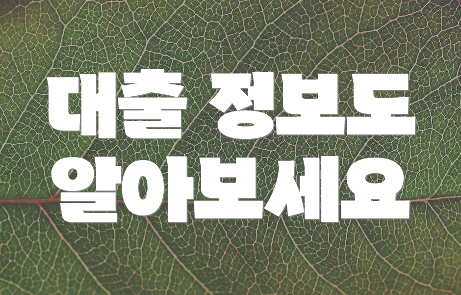 대출 정보도 알아보세요