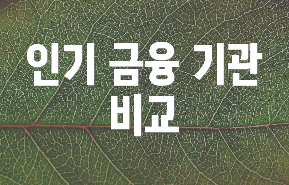 인기 금융 기관 비교