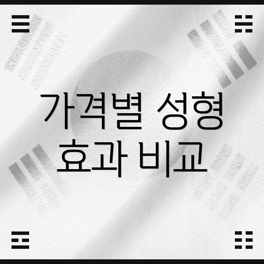가격별 성형 효과 비교