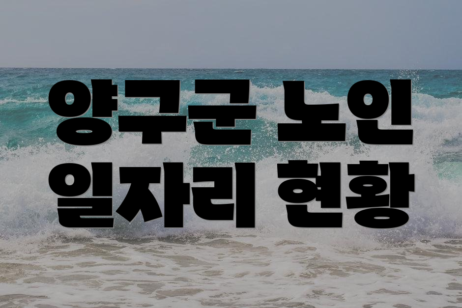 양구군 노인 일자리 현황