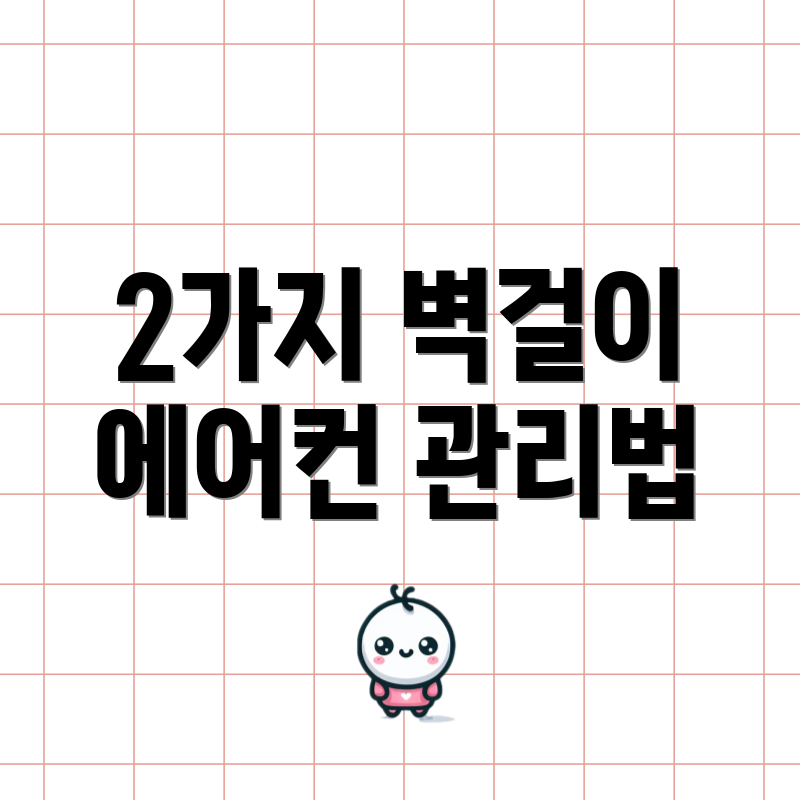 2가지 벽걸이 에어컨 관리법