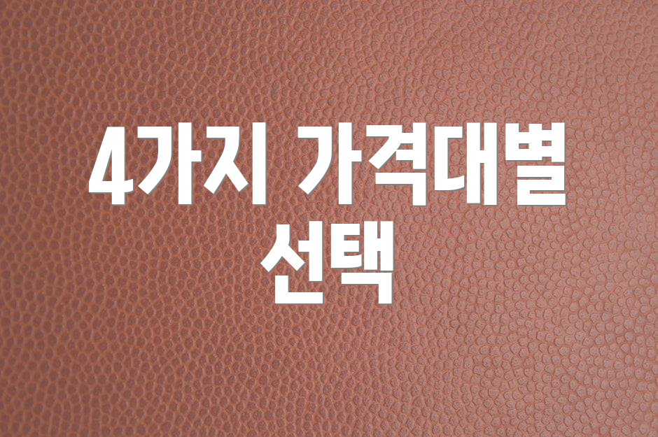 4가지 가격대별 선택