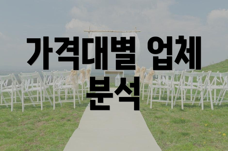 가격대별 업체 분석