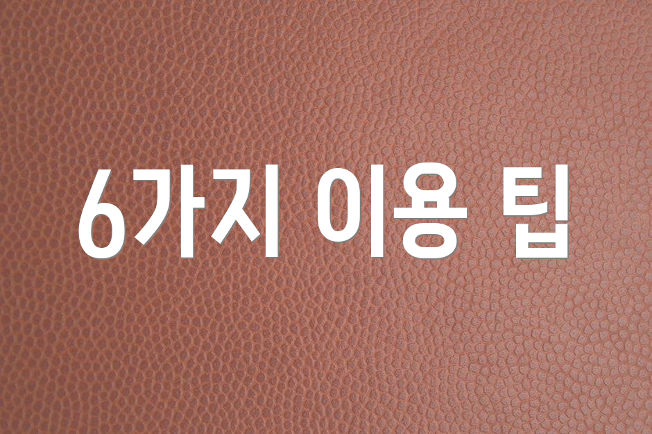 6가지 이용 팁