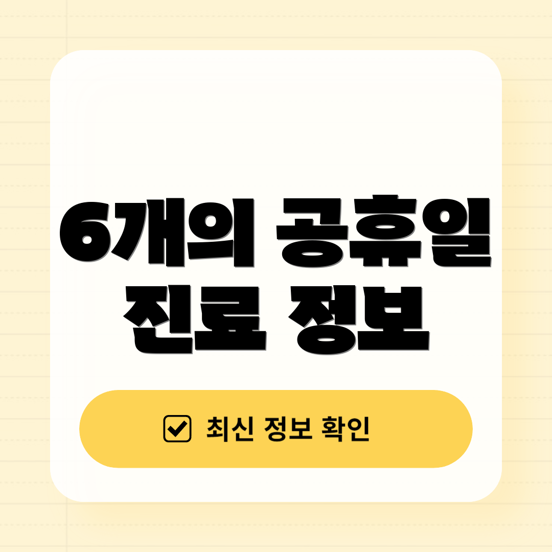 6개의 공휴일 진료 정보