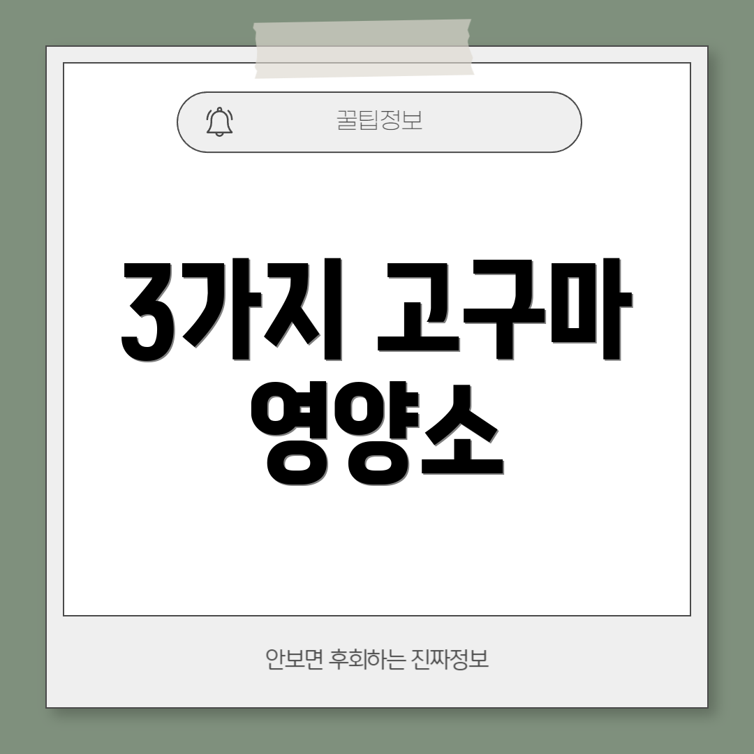 3가지 고구마 영양소