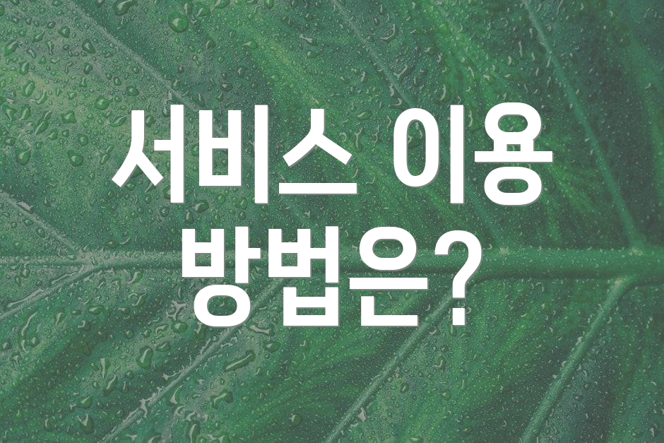 서비스 이용 방법은?