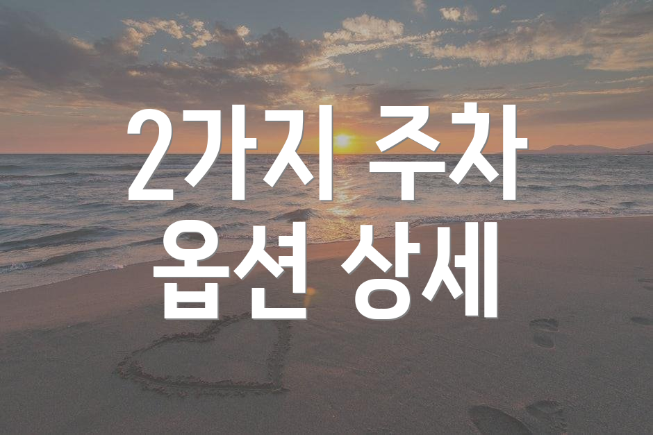 2가지 주차 옵션 상세