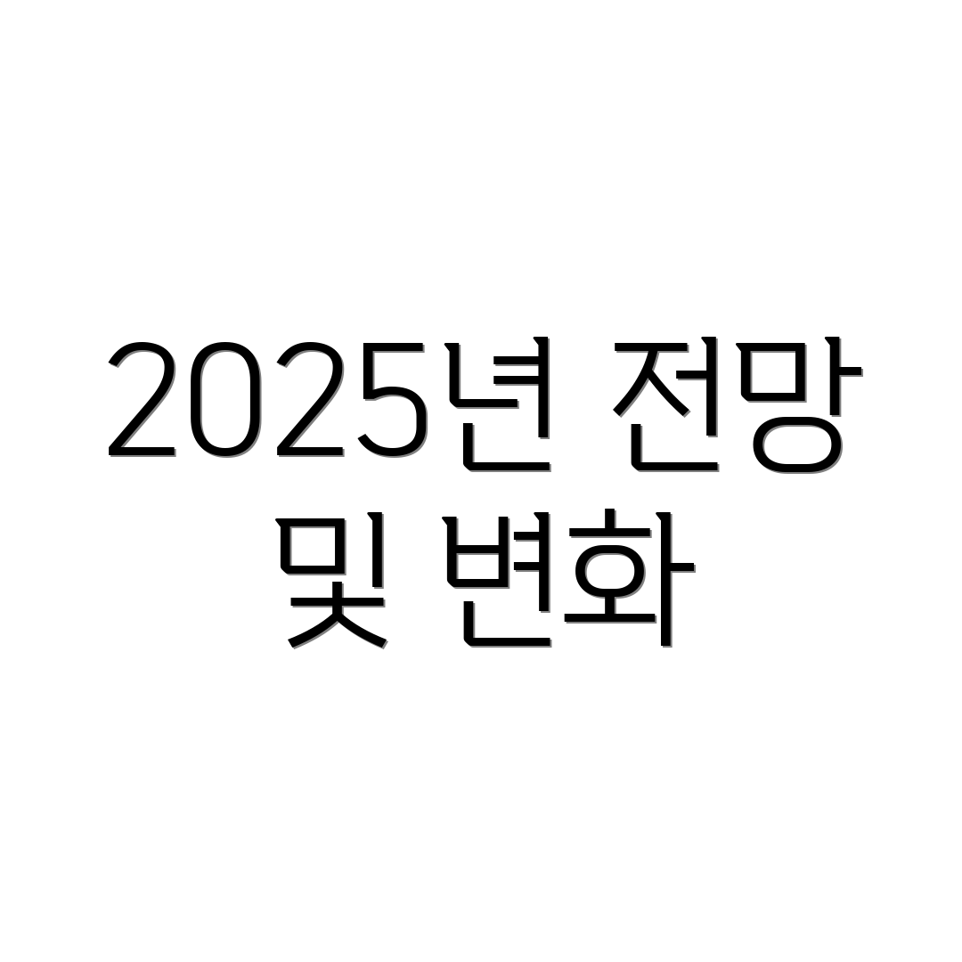 2025년 전망 및 변화