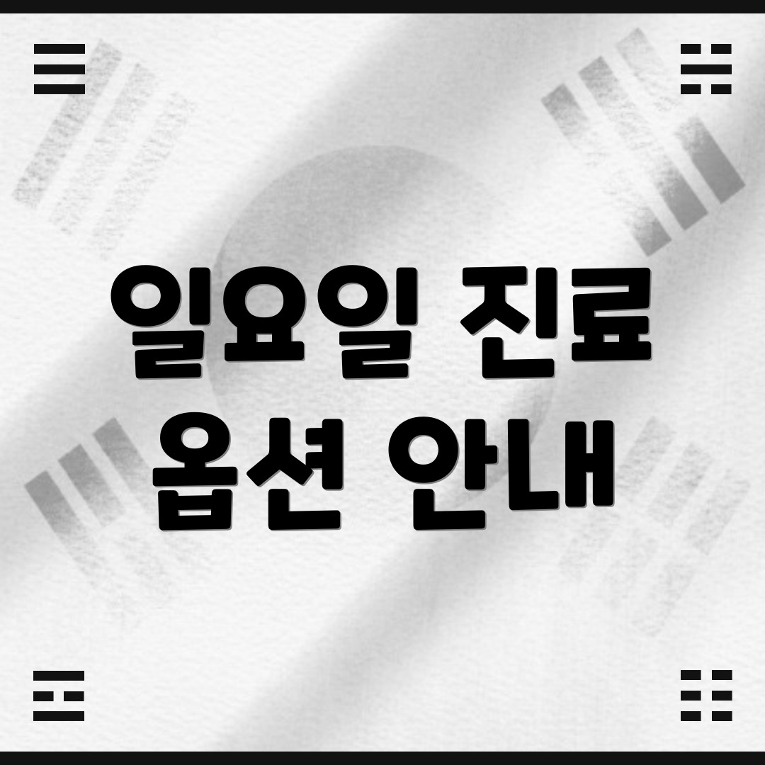 일요일 진료 옵션 안내