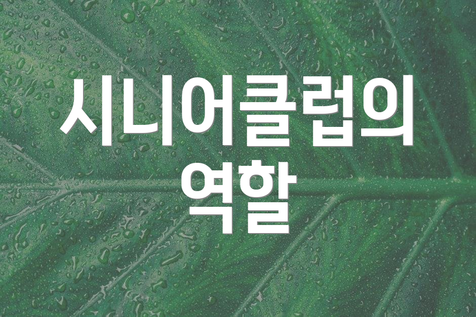 시니어클럽의 역할