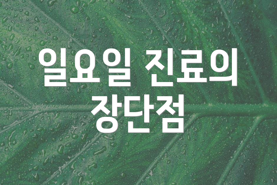 일요일 진료의 장단점