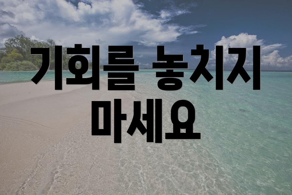 기회를 놓치지 마세요