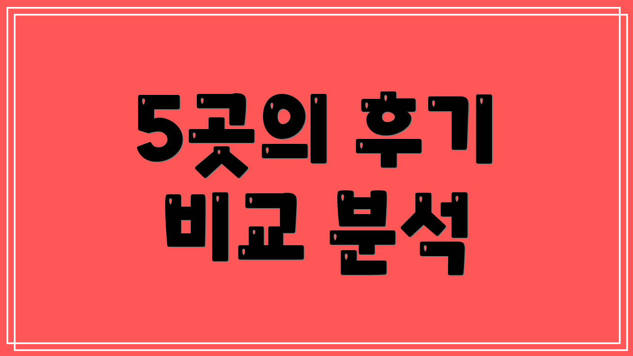 5곳의 후기 비교 분석