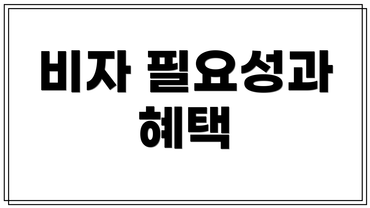 비자 필요성과 혜택