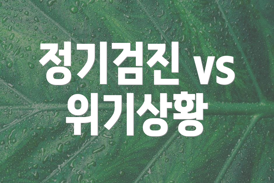 정기검진 vs 위기상황