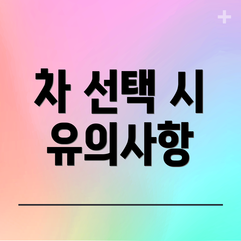 차 선택 시 유의사항