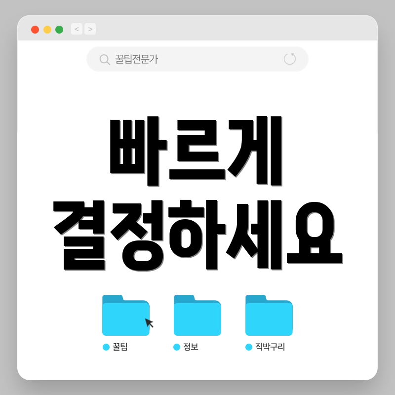 빠르게 결정하세요