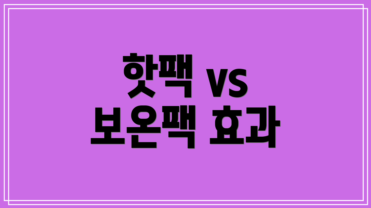 핫팩 vs 보온팩 효과