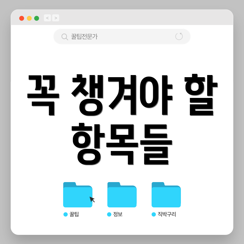 꼭 챙겨야 할 항목들