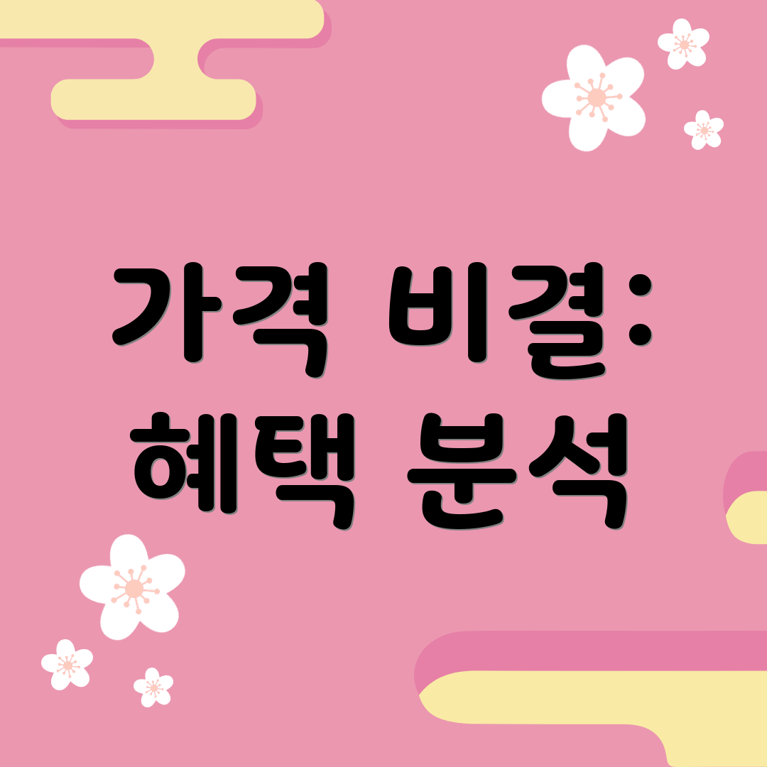 가격 비결: 혜택 분석