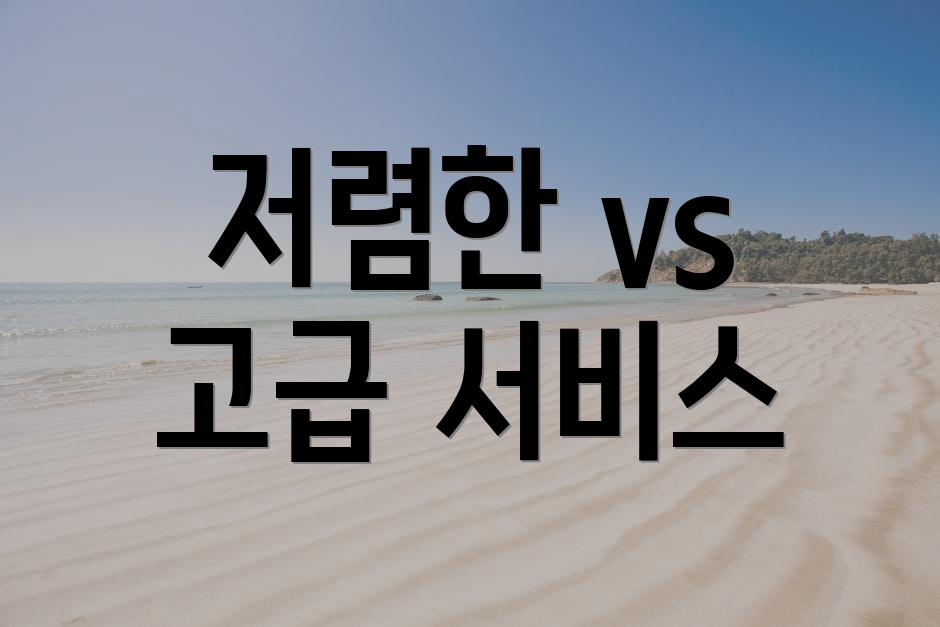 저렴한 vs 고급 서비스