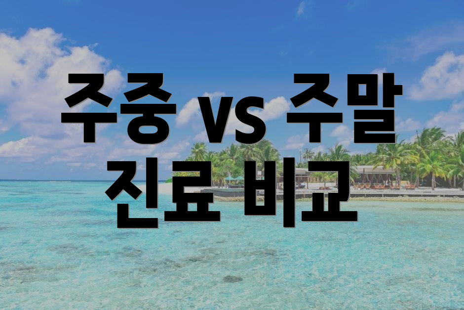 주중 vs 주말 진료 비교