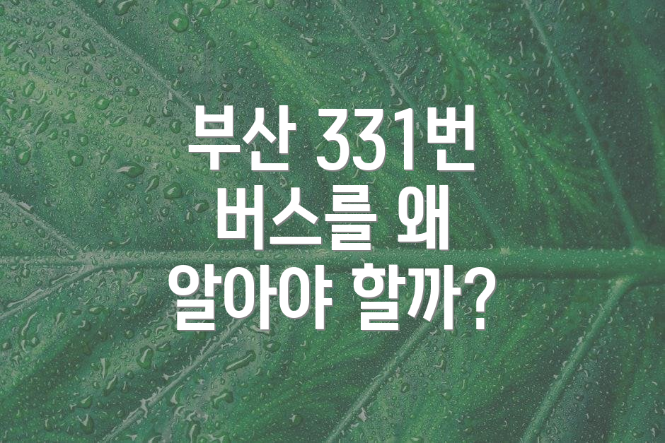 부산 331번 버스를 왜 알아야 할까?