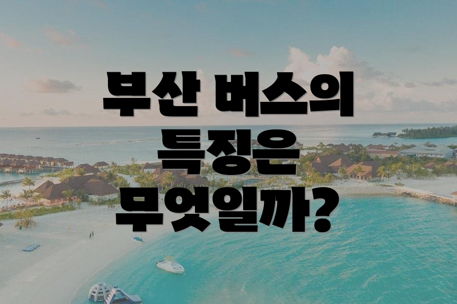 부산 버스의 특징은 무엇일까?