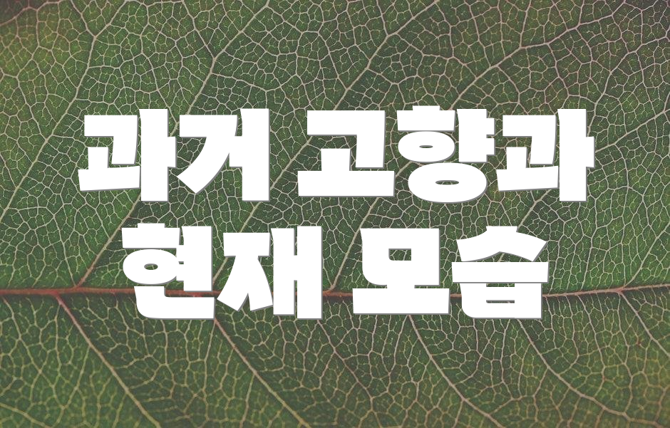 과거 고향과 현재 모습