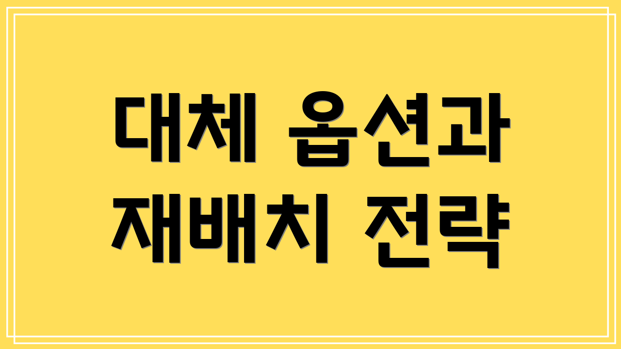 대체 옵션과 재배치 전략