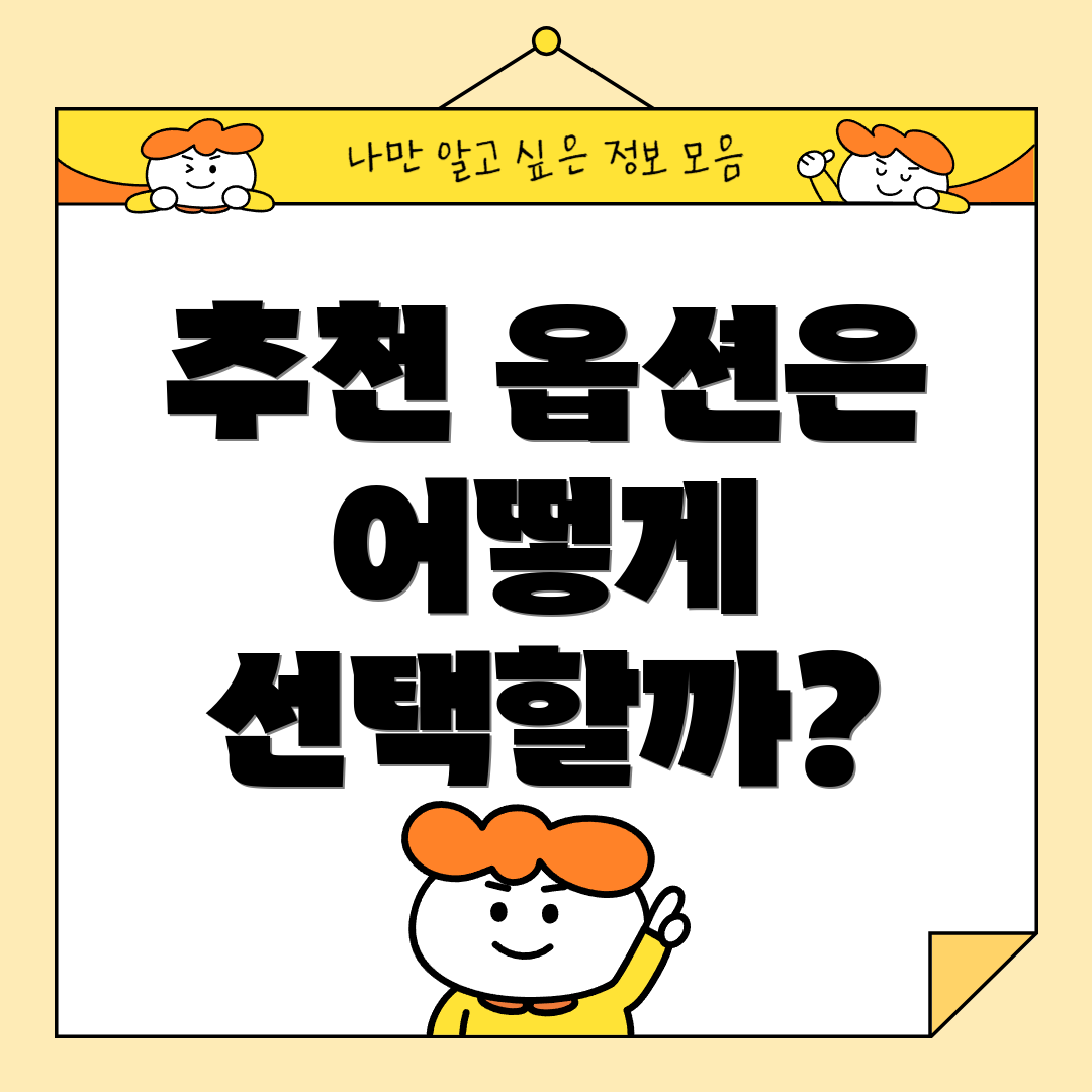 추천 옵션은 어떻게 선택할까?