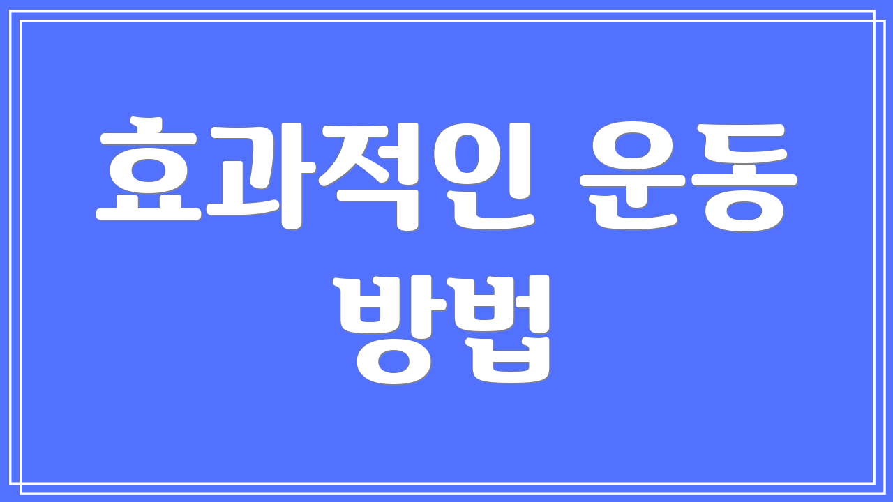 효과적인 운동 방법