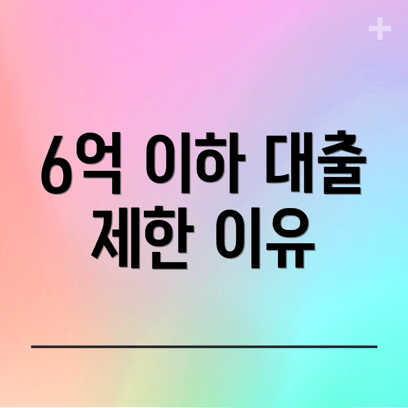 6억 이하 대출 제한 이유