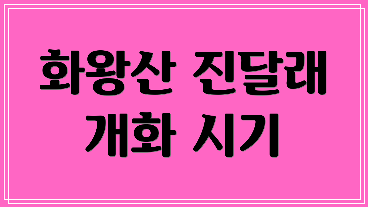 화왕산 진달래 개화 시기