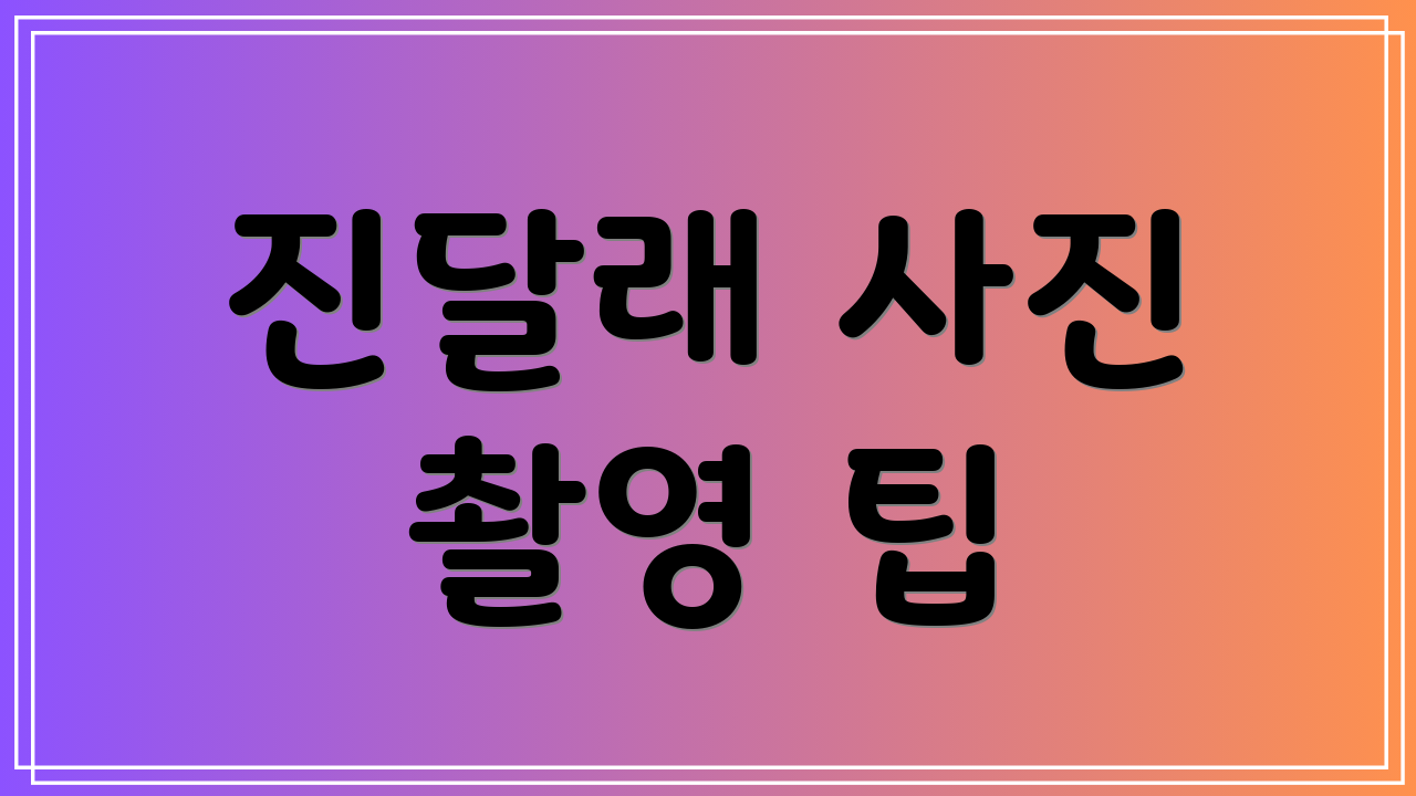 진달래 사진 촬영 팁